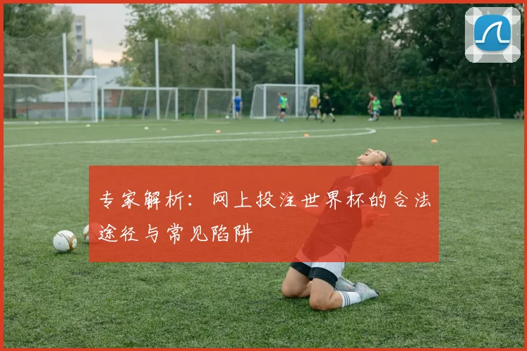 专家解析：网上投注世界杯的合法途径与常见陷阱