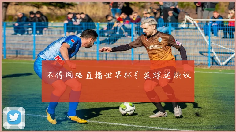 不得网络直播世界杯引发球迷热议