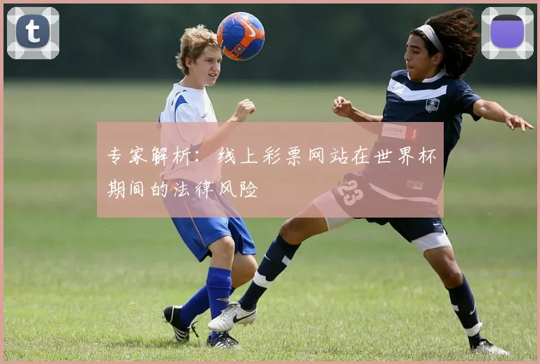 专家解析：线上彩票网站在世界杯期间的法律风险